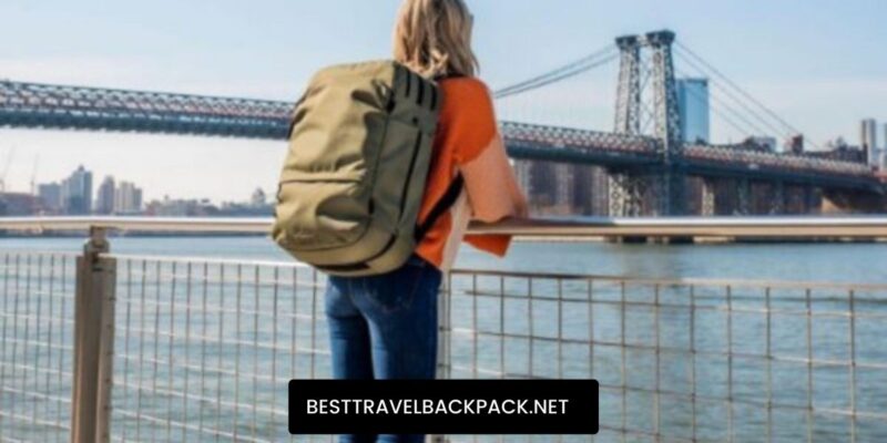 Pakt Travel Backpack Review